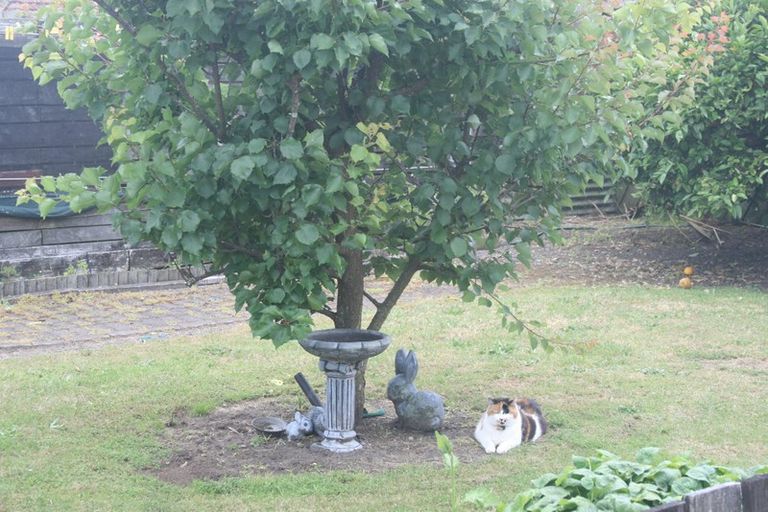 Photo of property in 4 Bowen Street, Kawerau, 3127