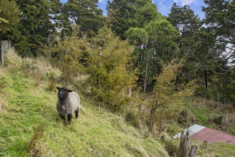 Photo of property in 54 Paparoa Station Road, Paparoa, 0571