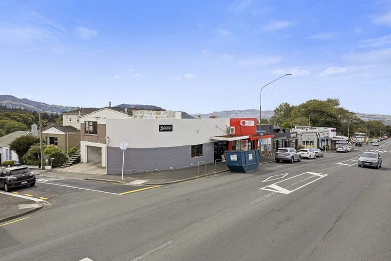 Photo of property in 2 Mccrea Street, Mornington, Dunedin, 9011