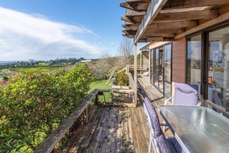 Photo of property in 51 Sinclair Road, Whakamarama, Tauranga, 3179