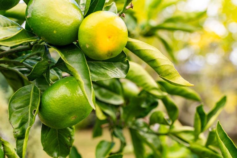 Photo of property in 8 George Point Road, Onerahi, Whangarei, 0110