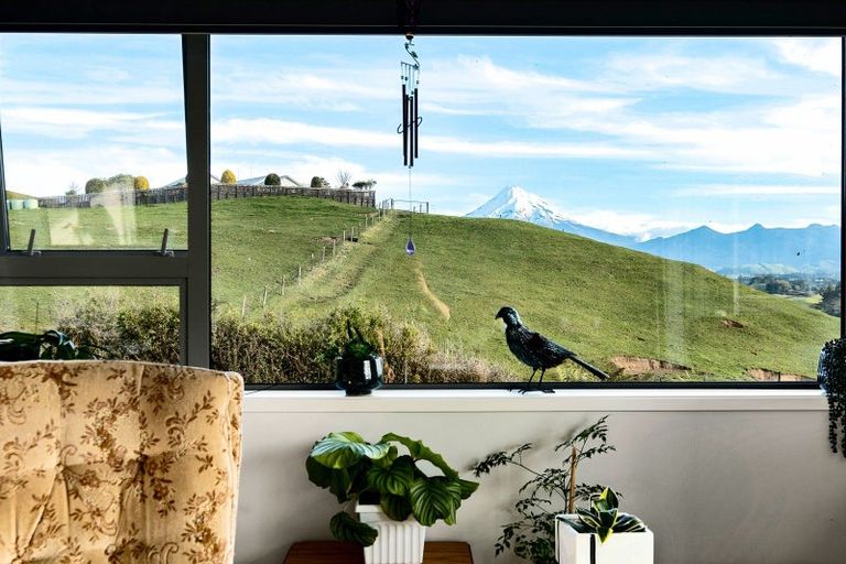 Photo of property in 169 King Road, Inglewood, 4386