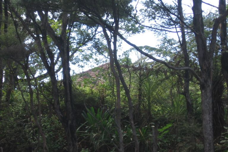 Photo of property in 322a Titirangi Road, Titirangi, Auckland, 0604