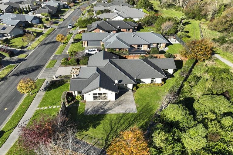 Photo of property in 31 Mokihi Gardens, Hillmorton, Christchurch, 8024