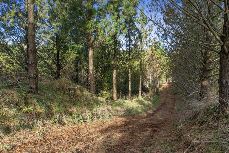 Photo of property in 805 Taumata Road, Omanawa, Tauranga, 3173