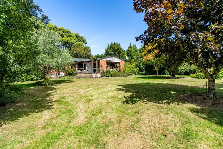 Photo of property in 297 Thornbury Waimatuku Road, Flints Bush, Riverton, 9883