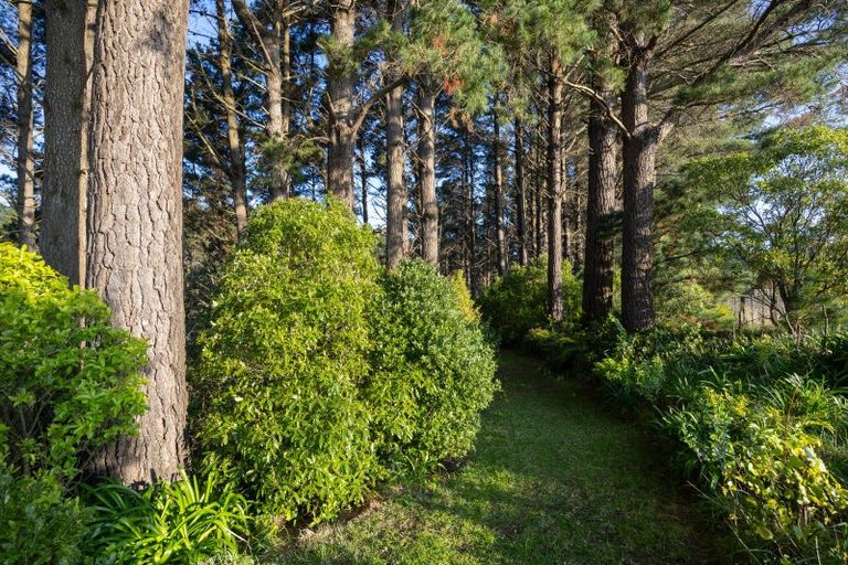 Photo of property in 107 Ngahere Park Road, Turitea, Palmerston North, 4472