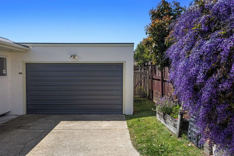 Photo of property in 1/74 Victoria Avenue, Whakatane, 3120