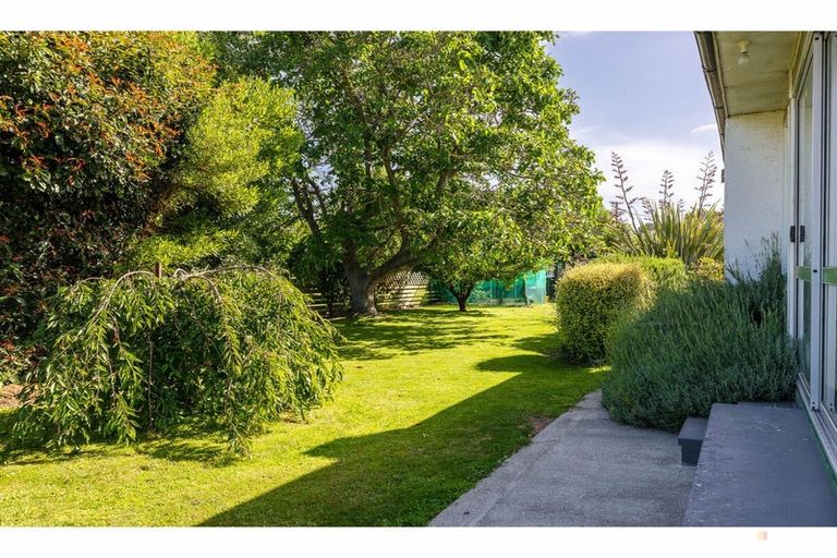 Photo of property in 17 Rugby Street, Waimate, 7924