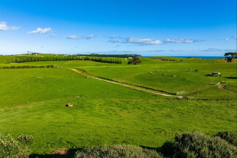 Photo of property in 1000 Redhill Road, Te Kopuru, Dargaville, 0371