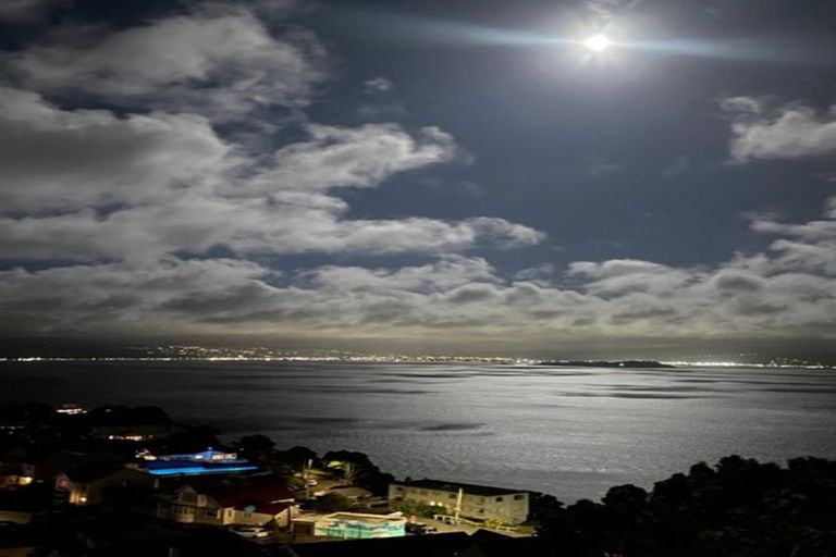 Photo of property in 17 Palliser Road, Roseneath, Wellington, 6011