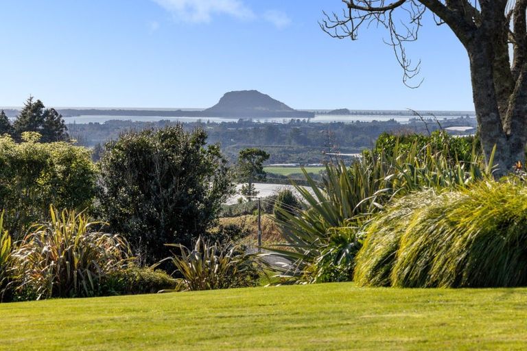 Photo of property in 196 Whakamarama Road, Whakamarama, Tauranga, 3179