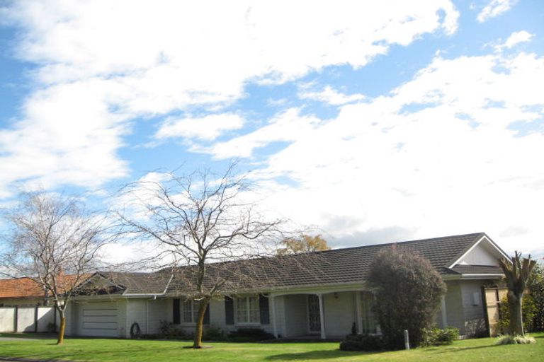 Photo of property in 3 Chestnut Court, Havelock North, 4130