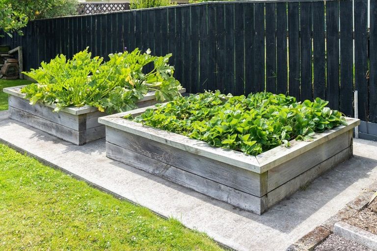 Photo of property in 19 Lemon Street, Otaki, 5512