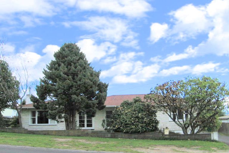 Photo of property in 21 Hinemoa Avenue, Taupo, 3330