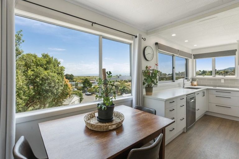 Photo of property in 114 Abingdon Place, Thames, 3500