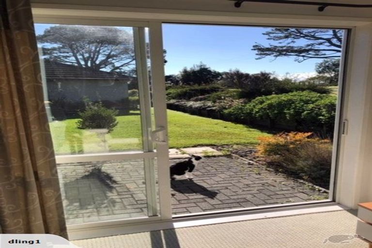 Photo of property in 229 Glenmore Road, Coatesville, Albany, 0793