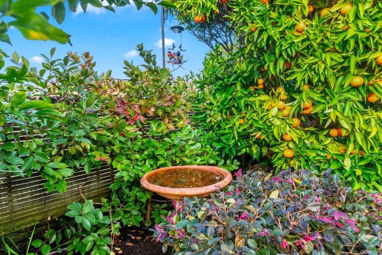 Photo of property in 14 Francis Skinner Place, Orewa, 0931