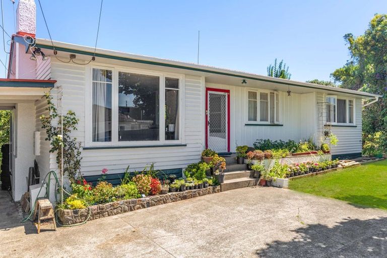 Photo of property in 21 Carey Street, Maeroa, Hamilton, 3200