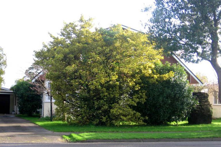 Photo of property in 3 College Street, Awapuni, Palmerston North, 4412