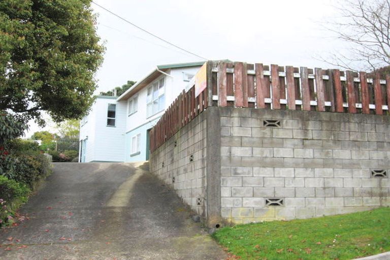 Photo of property in 117 Brunton Crescent, Thames, 3500