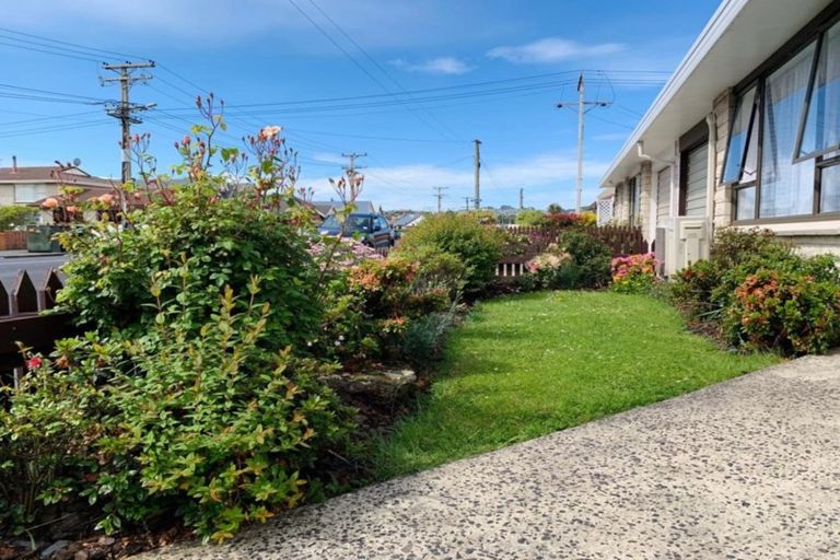 Photo of property in 8a Market Street, Saint Kilda, Dunedin, 9012