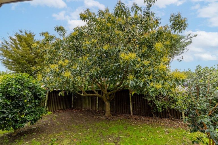 Photo of property in 21 Kowhai Avenue, Morrinsville, 3300