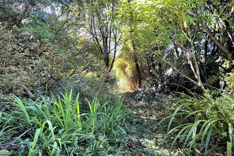 Photo of property in 14 Tarata Street, Kaka Point, 9271