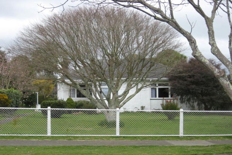 Photo of property in 96 Weraroa Road, Levin, 5510