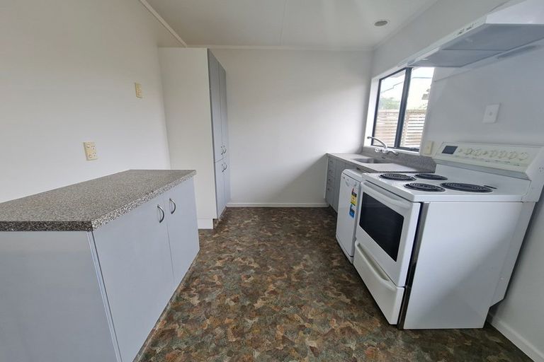 Photo of property in 26a Limbrick Street, Terrace End, Palmerston North, 4410