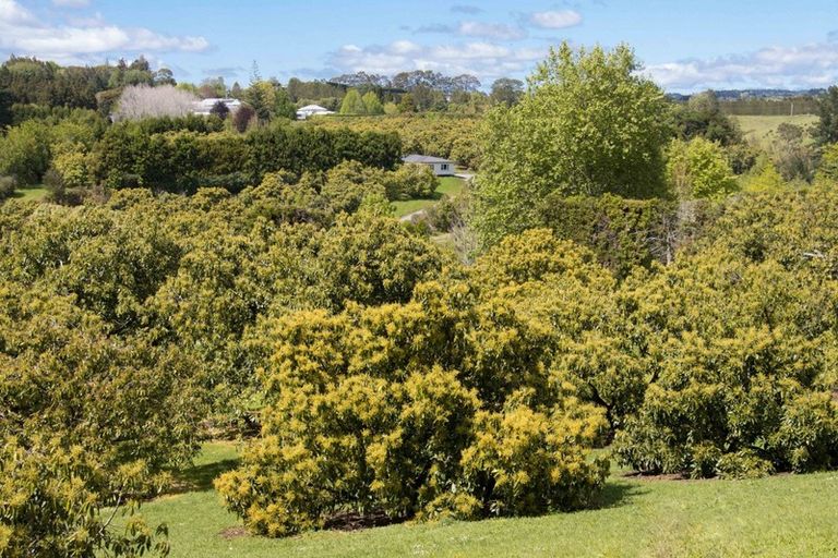 Photo of property in 1555c State Highway 2, Whakamarama, Katikati, 3181