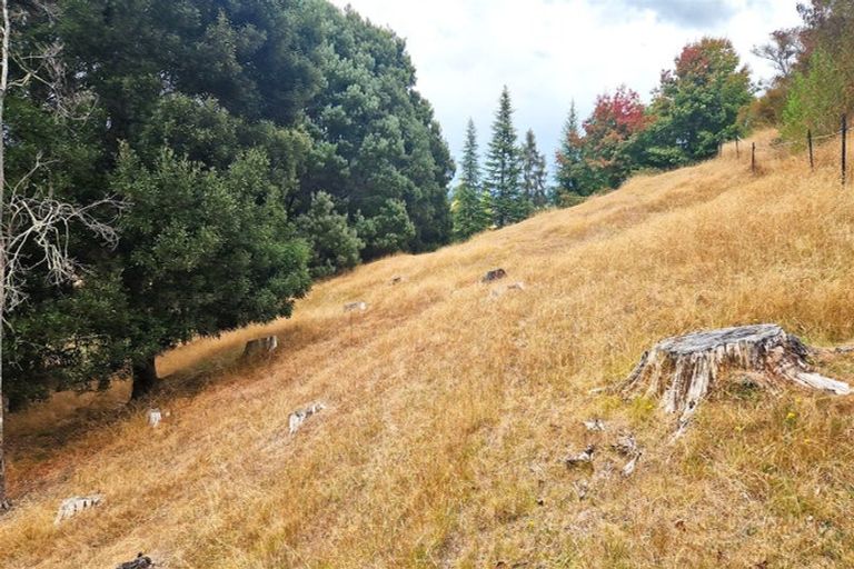 Photo of property in 335 Old Coach Road, Upper Moutere, 7173