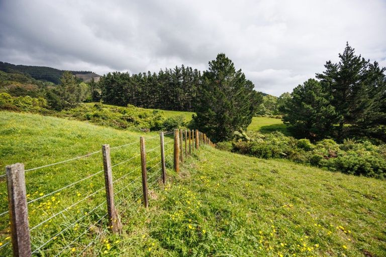 Photo of property in 431 Scotts Road, Linton, Palmerston North, 4472