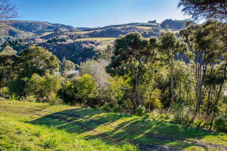 Photo of property in 15 Fred Hollows Way, Glenleith, Dunedin, 9010