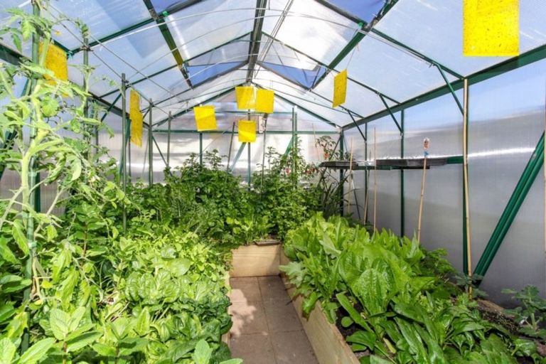 Photo of property in 20 Mangorei Road, Strandon, New Plymouth, 4312