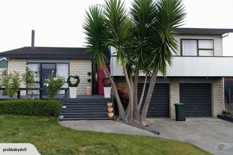 Photo of property in 25 Ryan Crescent, Greenmeadows, Napier, 4112