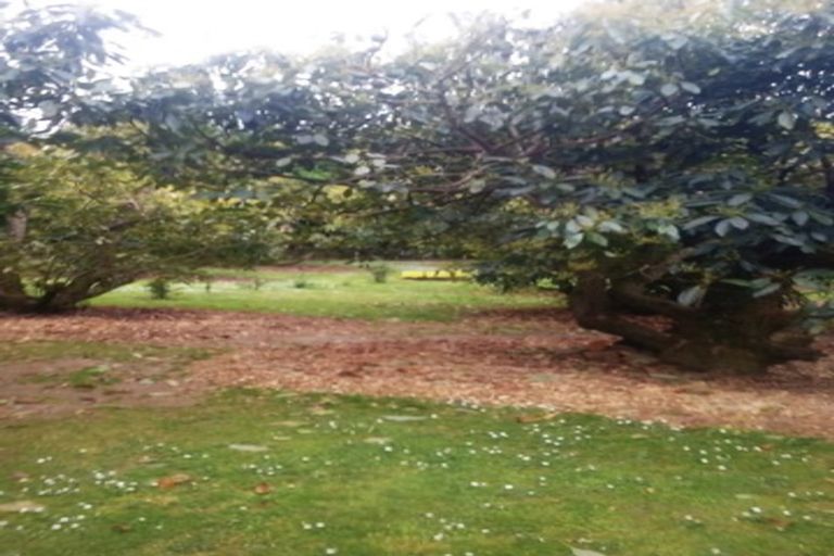 Photo of property in 17 Barrett Road, Whakamarama, Tauranga, 3180