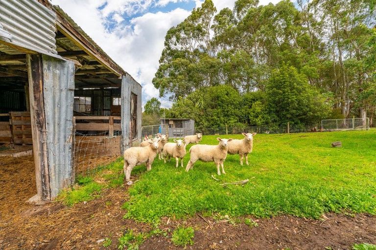 Photo of property in 263 Downs Road, Geraldine Downs, Geraldine, 7991