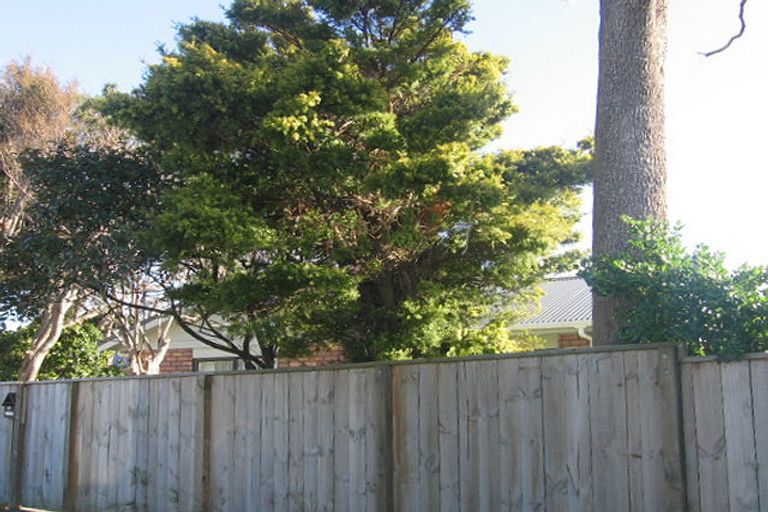 Photo of property in 97 Kings Crescent, Hutt Central, Lower Hutt, 5010