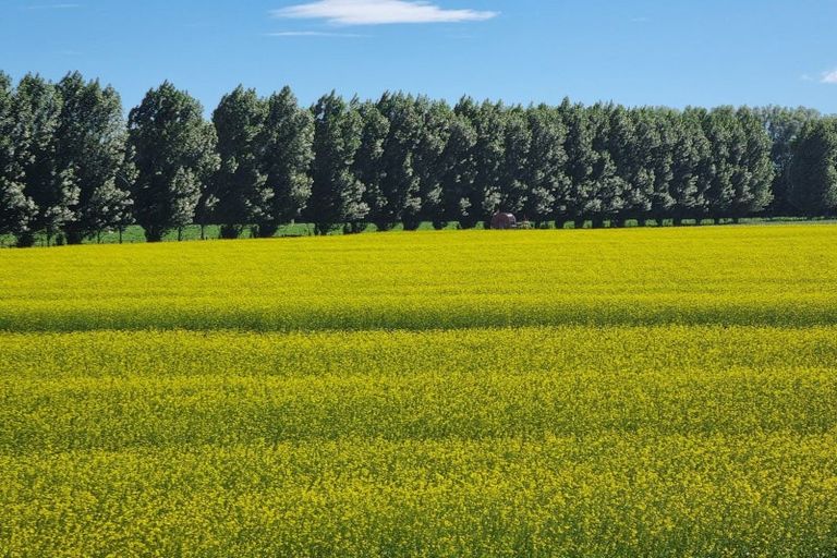 Photo of property in 247 Mahaki Road, Dyerville, Martinborough, 5781