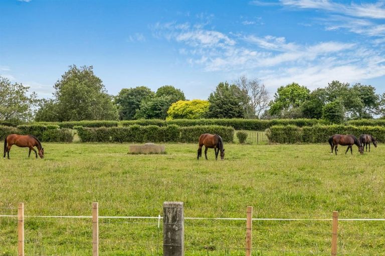 Photo of property in 18 Village Way, Ardmore, Papakura, 2582