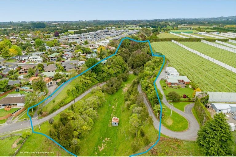 Photo of property in 18 Williams Drive, Te Puke, 3119