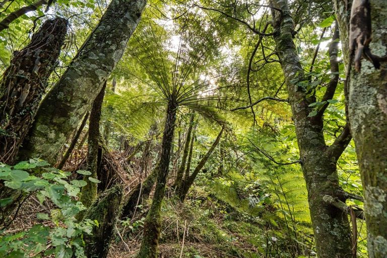 Photo of property in 677 Work Road, Whakamarama, Katikati, 3181