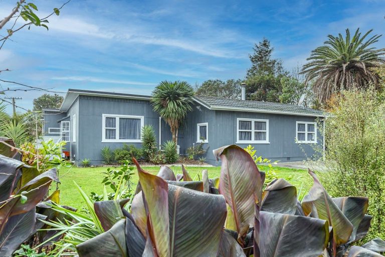 Photo of property in 67 Macarthur Street, Levin, 5510