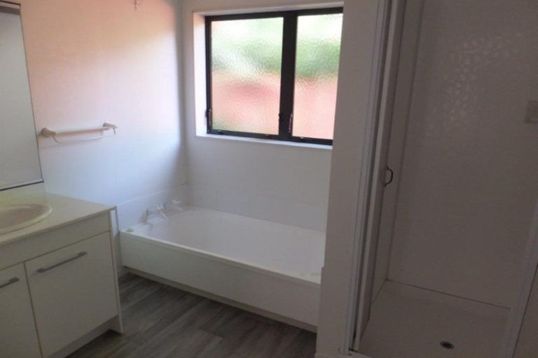 Photo of property in 74 Clarkin Road, Fairfield, Hamilton, 3214