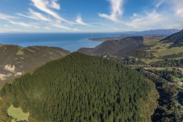 Photo of property in 184 Blue Duck Valley Road, Seaward Valley, Kaikoura, 7371