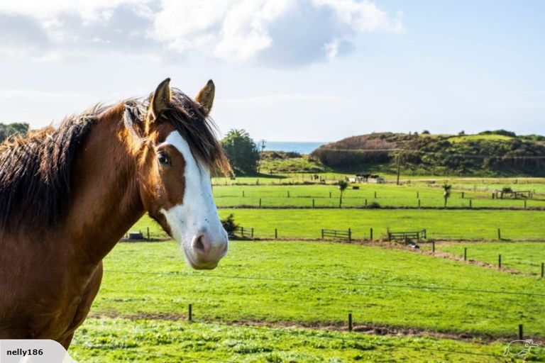 Photo of property in 51 Nanric Lane, Pukehina, Te Puke, 3186