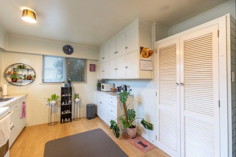 Photo of property in 51a Mcgrath Street, Napier South, Napier, 4110