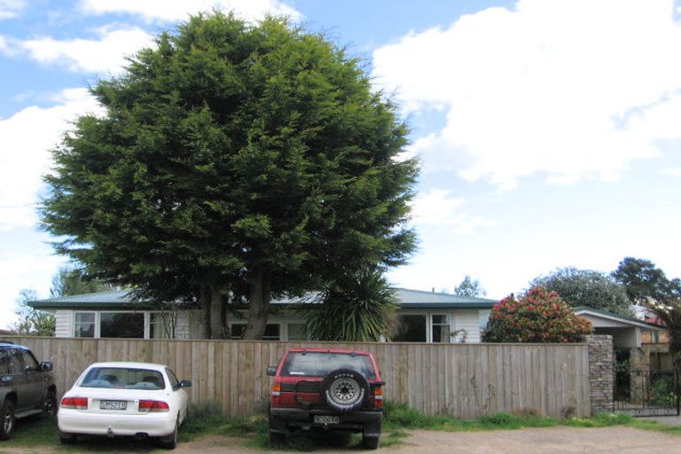 Photo of property in 17 Hinemoa Avenue, Taupo, 3330
