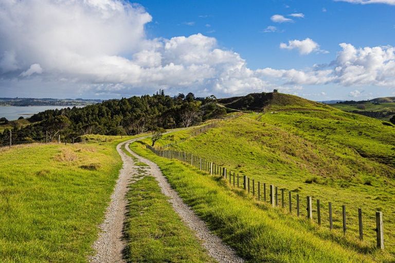 Photo of property in 164 Beatson Road, Whakapirau, 0583